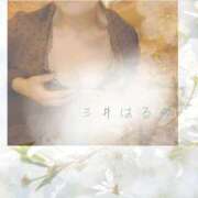 ヒメ日記 2026/04/03 17:33 投稿 三井　はるの 三丁目の奥様（東京ハレ系）