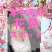 ヒメ日記 2026/04/09 23:46 投稿 三井　はるの 三丁目の奥様（東京ハレ系）