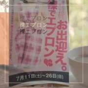 ヒメ日記 2026/07/13 17:51 投稿 三井　はるの 三丁目の奥様（東京ハレ系）
