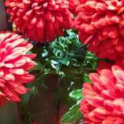 ヒメ日記 2024/12/27 18:45 投稿 まき 人妻小旅行