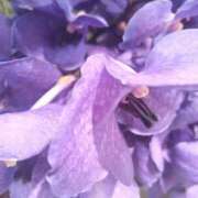 まき おはようございます。 人妻小旅行