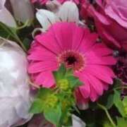 ヒメ日記 2025/12/14 09:37 投稿 まき 人妻小旅行