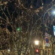 ヒメ日記 2024/12/20 11:33 投稿 さわ 手コキガールズコレクション