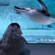 ヒメ日記 2025/05/09 18:23 投稿 さわ 手コキガールズコレクション