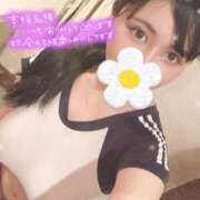 ヒメ日記 2025/04/07 16:26 投稿 みつば【Ｊカップハーフ美少女】 STELLA TOKYO－ステラトウキョウ－