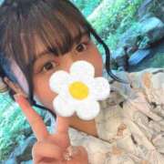 ヒメ日記 2025/07/26 21:51 投稿 みつば【Ｊカップハーフ美少女】 STELLA TOKYO－ステラトウキョウ－