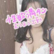 ヒメ日記 2025/08/01 19:54 投稿 みつば【Ｊカップハーフ美少女】 STELLA TOKYO－ステラトウキョウ－