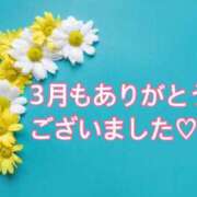 ヒメ日記 2025/04/01 01:14 投稿 桜みか 恋する奥さん 西中島店
