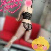 ヒメ日記 2025/12/15 08:29 投稿 玉井ひより 池袋パラダイス