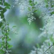 ヒメ日記 2025/02/26 23:02 投稿 ともか ファーストレディ(博多)