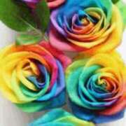 ヒメ日記 2025/02/28 19:02 投稿 ともか ファーストレディ(博多)