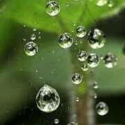 ヒメ日記 2025/03/21 19:52 投稿 ともか ファーストレディ(博多)