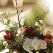 ヒメ日記 2026/01/15 00:22 投稿 ともか ファーストレディ(博多)