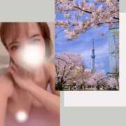 ヒメ日記 2025/03/29 17:13 投稿 ゆか 錦糸町人妻セレブリティ（ユメオト）