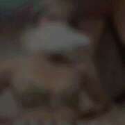 ヒメ日記 2025/06/24 21:27 投稿 ゆか 錦糸町人妻セレブリティ(ユメオト)