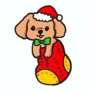 ヒメ日記 2024/12/24 07:46 投稿 青木まゆり ABC 岩手ソープ