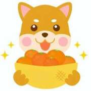 ヒメ日記 2025/01/19 05:01 投稿 青木まゆり ABC 岩手ソープ