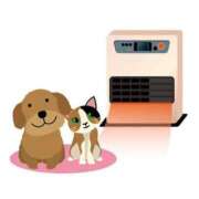 ヒメ日記 2025/02/11 05:16 投稿 青木まゆり ABC 岩手ソープ