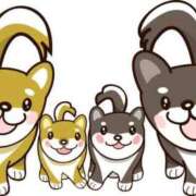 ヒメ日記 2025/02/20 16:46 投稿 青木まゆり ABC 岩手ソープ