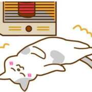 ヒメ日記 2025/02/23 05:16 投稿 青木まゆり ABC 岩手ソープ