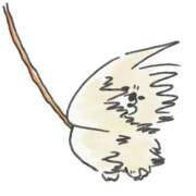 ヒメ日記 2025/03/15 07:46 投稿 青木まゆり ABC 岩手ソープ