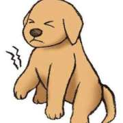 ヒメ日記 2025/04/06 05:16 投稿 青木まゆり ABC 岩手ソープ