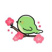 ヒメ日記 2025/04/19 07:46 投稿 青木まゆり ABC 岩手ソープ