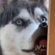 ヒメ日記 2025/05/13 09:31 投稿 青木まゆり ABC 岩手ソープ