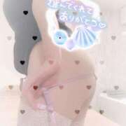 ヒメ日記 2025/06/12 14:16 投稿 青木まゆり ABC 岩手ソープ