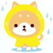 ヒメ日記 2025/06/15 05:01 投稿 青木まゆり ABC 岩手ソープ