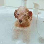 ヒメ日記 2025/07/16 13:46 投稿 青木まゆり ABC 岩手ソープ