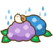 ヒメ日記 2025/08/12 07:31 投稿 青木まゆり ABC 岩手ソープ