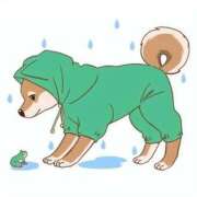 ヒメ日記 2025/10/28 07:31 投稿 青木まゆり ABC 岩手ソープ