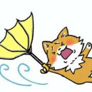 ヒメ日記 2025/11/29 07:16 投稿 青木まゆり ABC 岩手ソープ