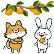 ヒメ日記 2025/12/02 06:01 投稿 青木まゆり ABC 岩手ソープ