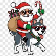 ヒメ日記 2025/12/03 11:31 投稿 青木まゆり ABC 岩手ソープ