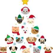 ヒメ日記 2025/12/25 09:01 投稿 青木まゆり ABC 岩手ソープ