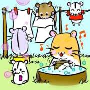 ヒメ日記 2026/03/15 13:46 投稿 青木まゆり ABC 岩手ソープ