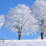 ヒメ日記 2025/02/10 09:31 投稿 井上いと ABC 岩手ソープ