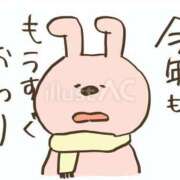 ヒメ日記 2025/12/17 10:01 投稿 井上いと ABC 岩手ソープ