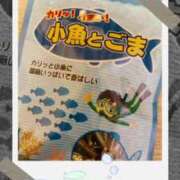 ヒメ日記 2025/01/08 20:16 投稿 川村かすみ ABC 岩手ソープ