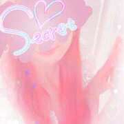 ヒメ日記 2025/02/25 17:16 投稿 川村かすみ ABC 岩手ソープ