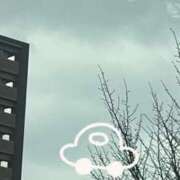 ヒメ日記 2025/03/26 09:16 投稿 川村かすみ ABC 岩手ソープ