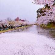 ヒメ日記 2025/04/29 08:16 投稿 川村かすみ ABC 岩手ソープ