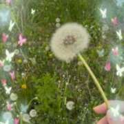 ヒメ日記 2025/05/19 22:31 投稿 川村かすみ ABC 岩手ソープ