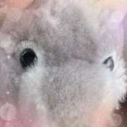 ヒメ日記 2025/07/01 08:16 投稿 川村かすみ ABC 岩手ソープ