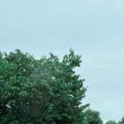 ヒメ日記 2025/07/11 08:16 投稿 川村かすみ ABC 岩手ソープ