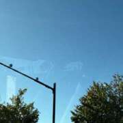 ヒメ日記 2025/09/22 08:16 投稿 川村かすみ ABC 岩手ソープ