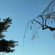 ヒメ日記 2025/11/18 10:31 投稿 川村かすみ ABC 岩手ソープ