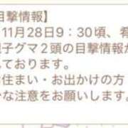 ヒメ日記 2025/11/28 10:46 投稿 川村かすみ ABC 岩手ソープ